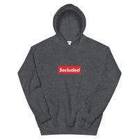 Secluded | Unisex Hoodie - DVNT SHOP