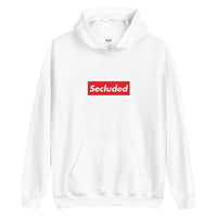 Secluded | Unisex Hoodie - DVNT SHOP